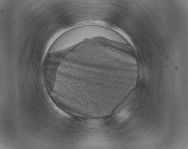 X0000067861102200605111727