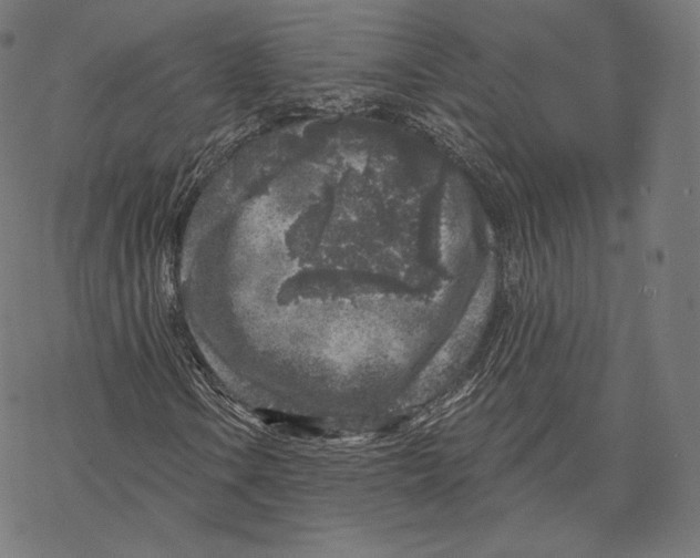 X0000067861106200605111726