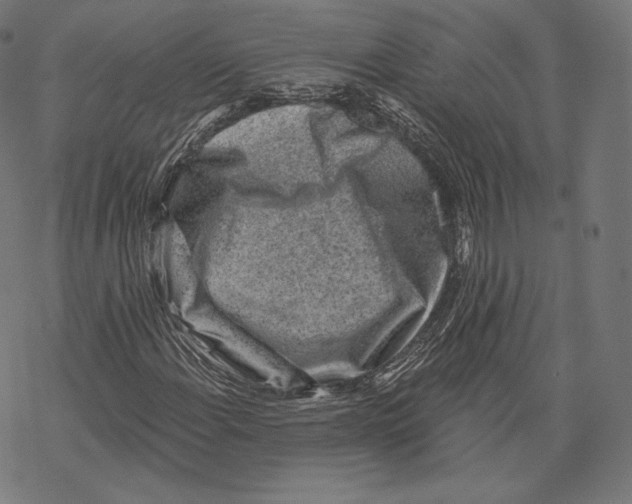 X0000067861108200605111726