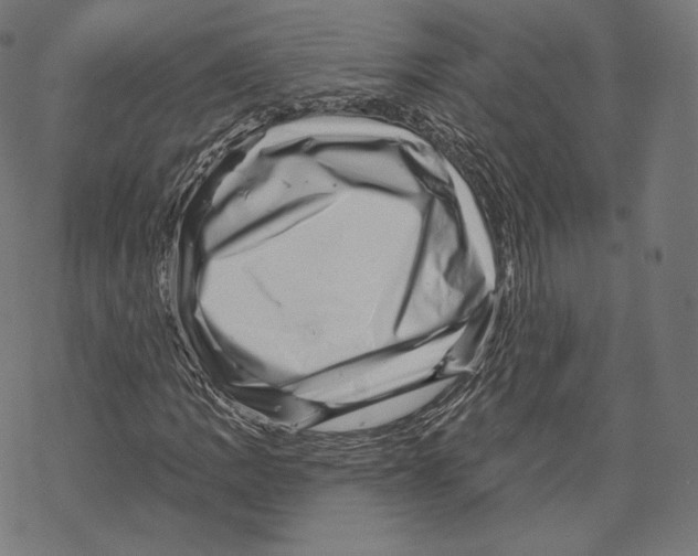 X0000067861109200605111726