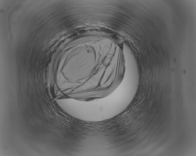 X0000067861110200605111726