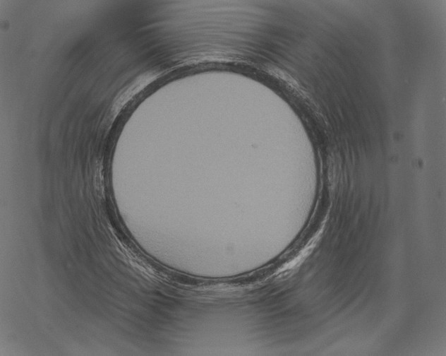 X0000067861113200605111726