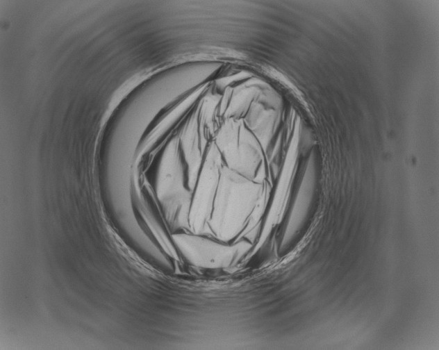 X0000067861122200605111727