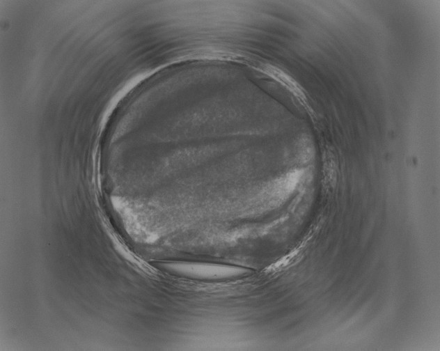 X0000067861128200605111727