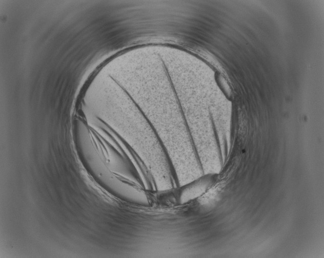 X0000067861132200605111727