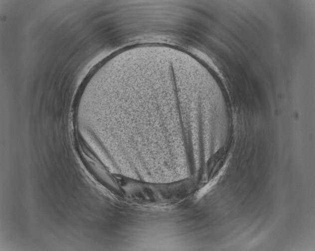X0000067861133200605111727
