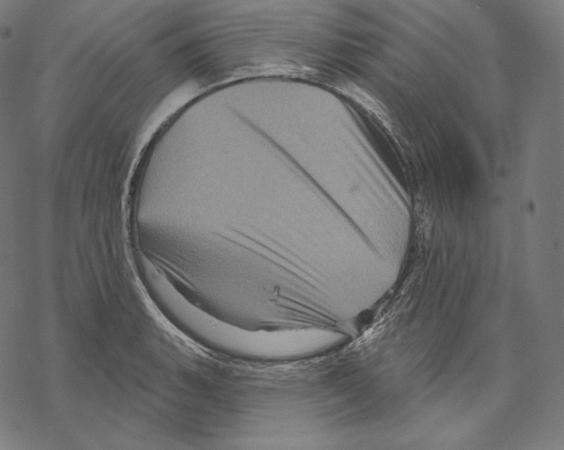 X0000067861135200605111727