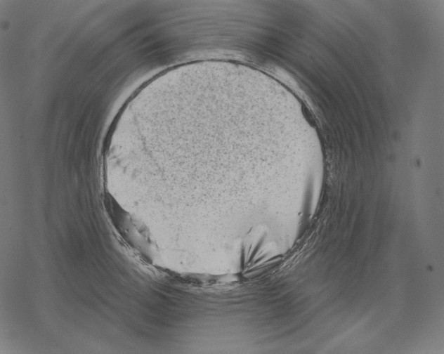 X0000067861140200605111727
