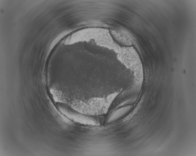 X0000067861141200605111727