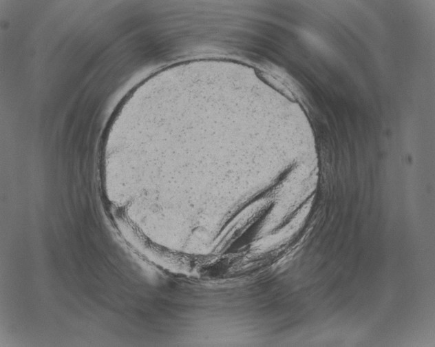 X0000067861142200605111727