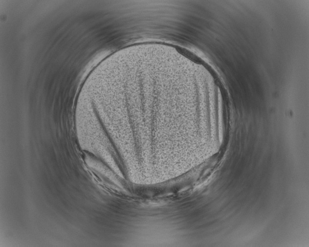 X0000067861145200605111727