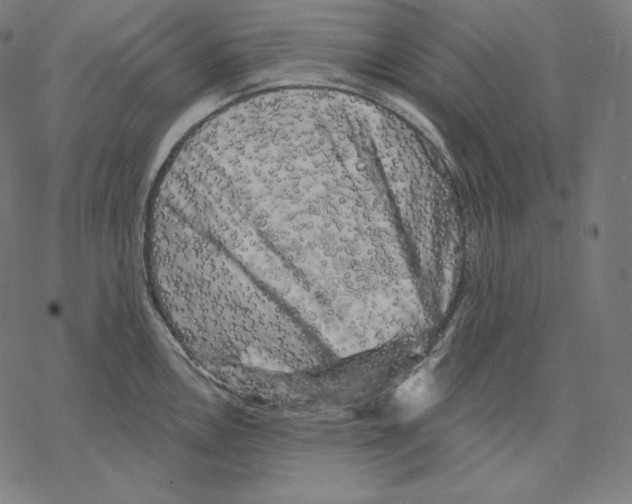 X0000067861146200605111727