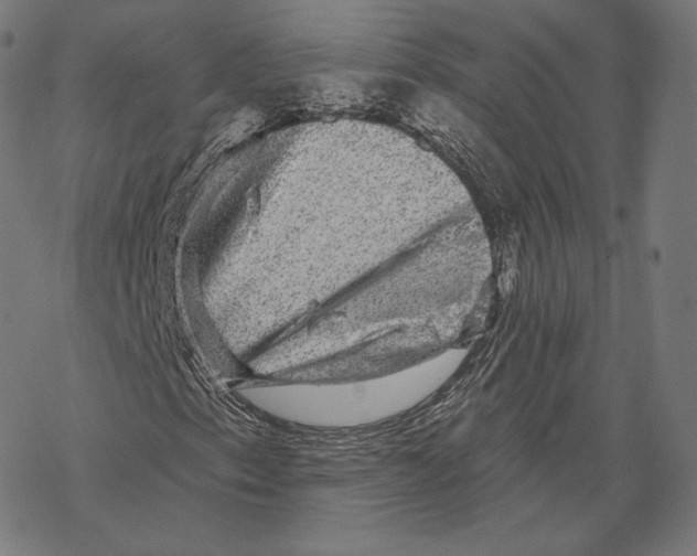 X0000067861153200605111726