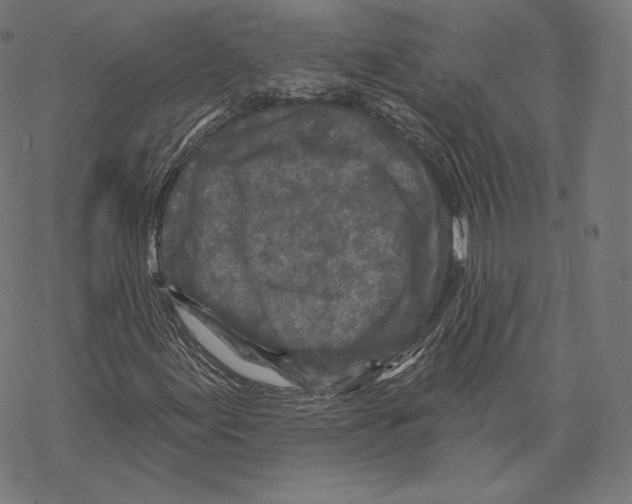 X0000067861155200605111726