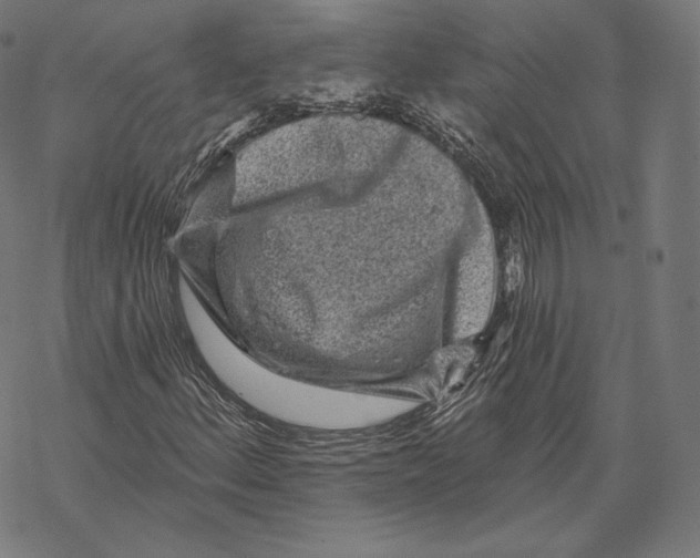 X0000067861156200605111726