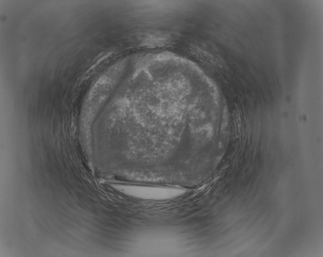 X0000067861158200605111726