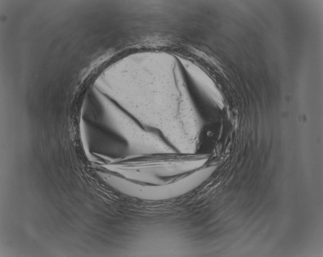 X0000067861160200605111726