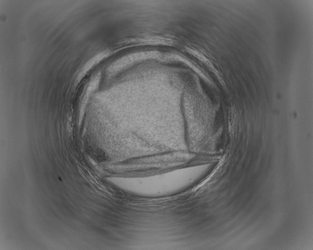 X0000067861163200605111726