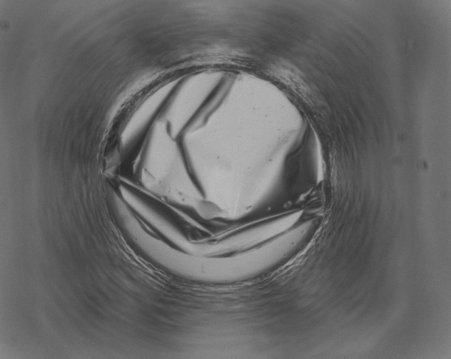 X0000067861164200605111726