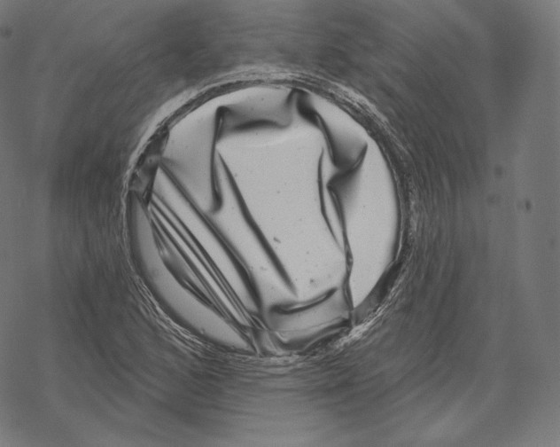 X0000067861168200605111726