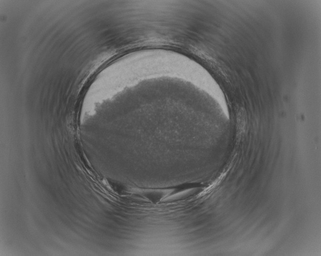 X0000067861170200605111726
