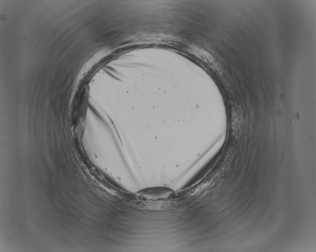 X0000067861172200605111726
