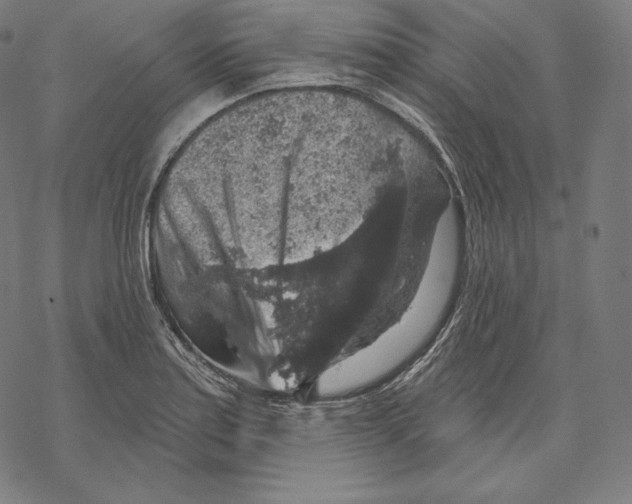 X0000067861179200605111726