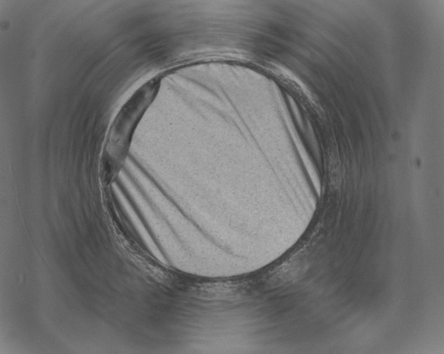 X0000067861182200605111726