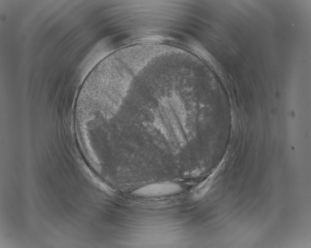 X0000067861194200605111726