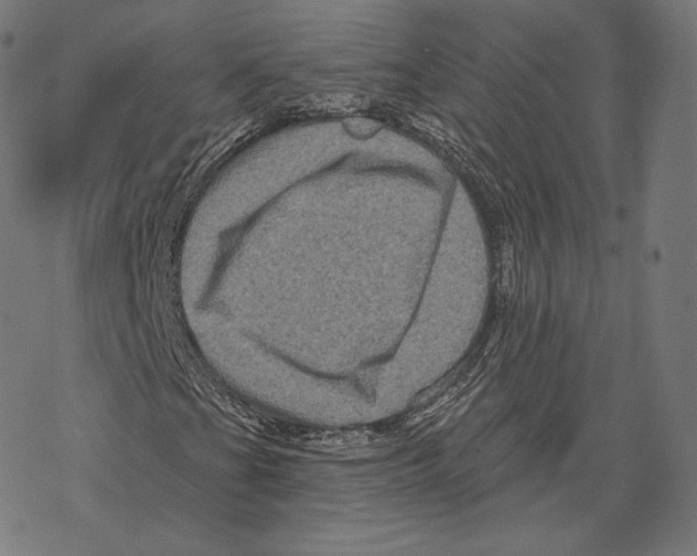 X0000067861201200605111725