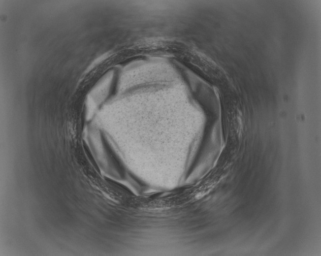 X0000067861206200605111725