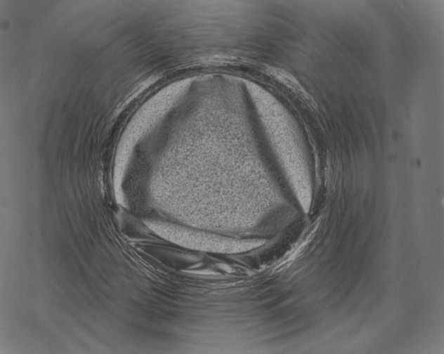 X0000067861209200605111725