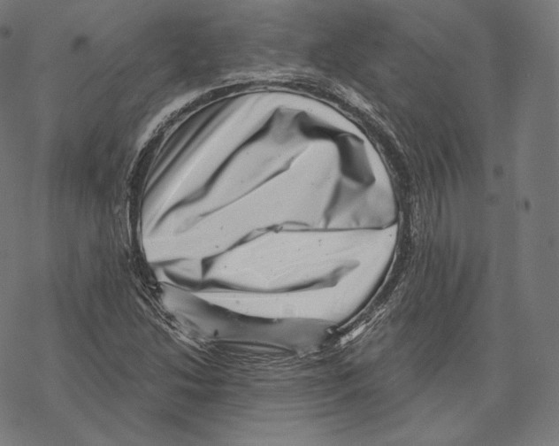 X0000067861214200605111725