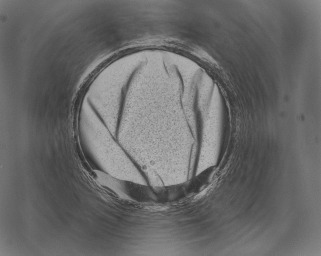 X0000067861216200605111725
