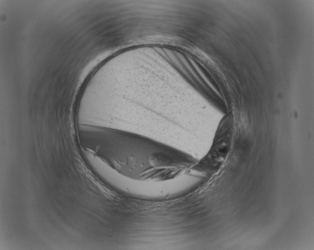 X0000067861230200605111725