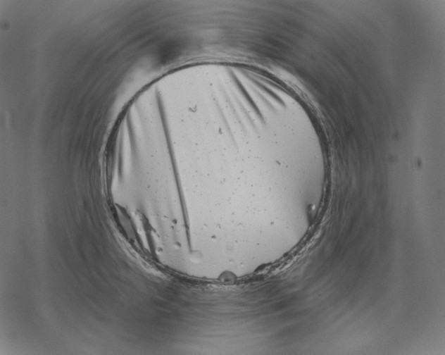 X0000067861238200605111725
