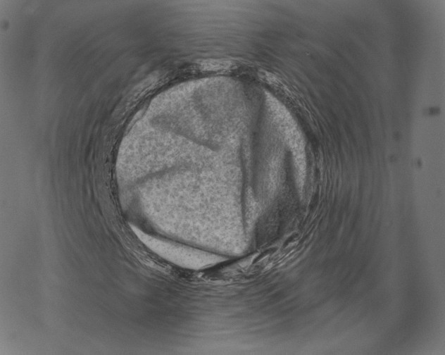 X0000067861249200605111725