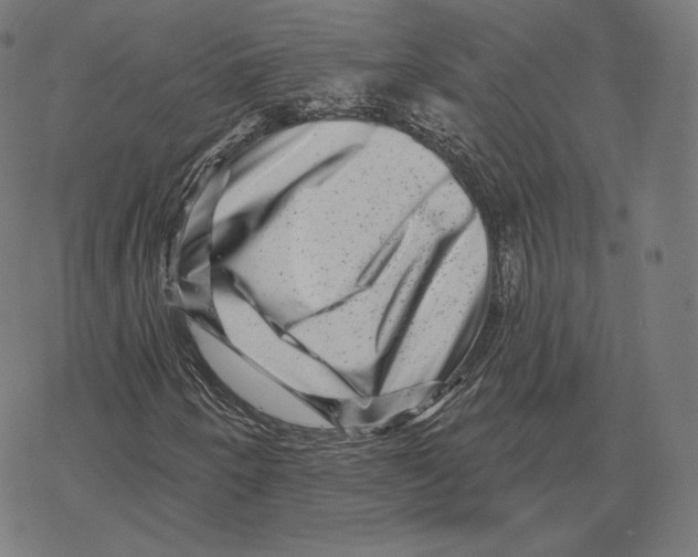 X0000067861250200605111725