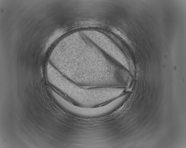 X0000067861261200605111724