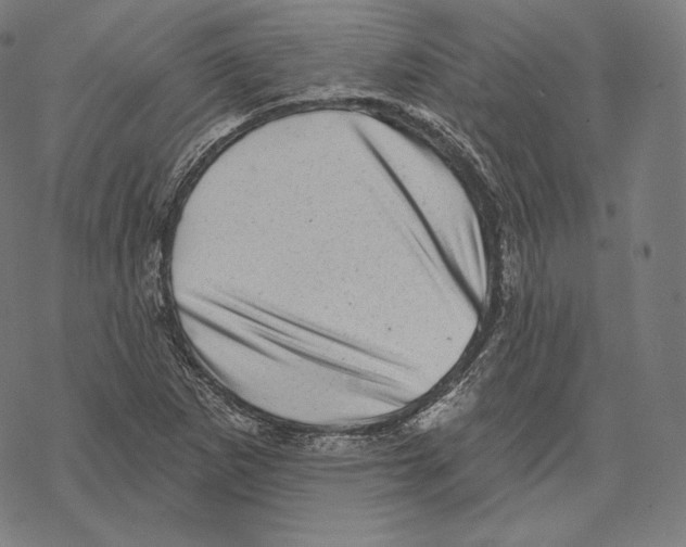 X0000067861265200605111724