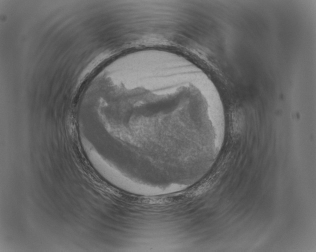X0000067861266200605111724