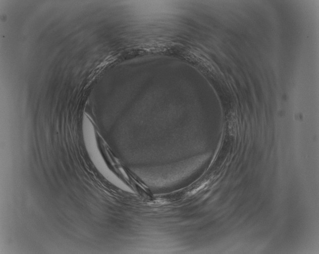 X0000067861298200605111723
