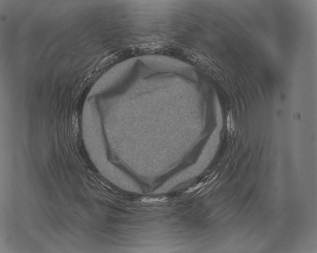 X0000067861299200605111723