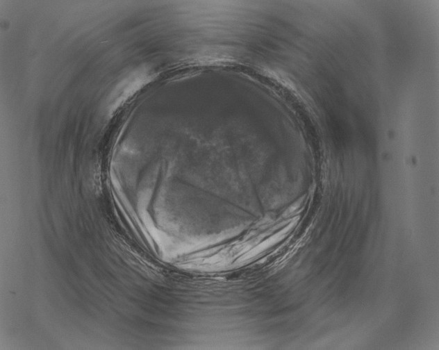 X0000067861306200605111723