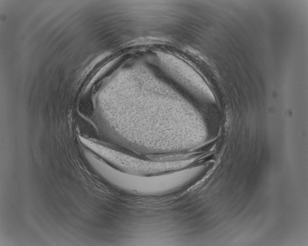 X0000067861313200605111723