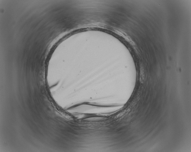 X0000067861316200605111723