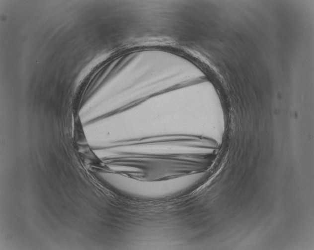 X0000067861317200605111723