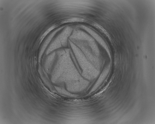 X0000067861321200605111724