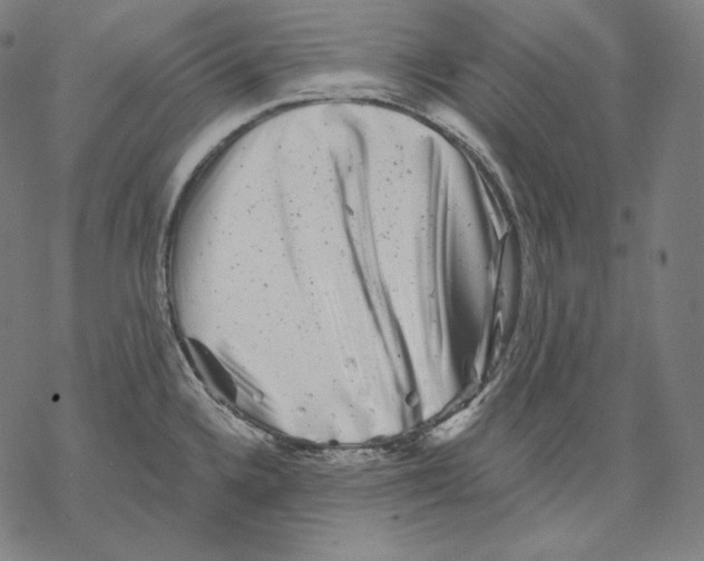 X0000067861336200605111724