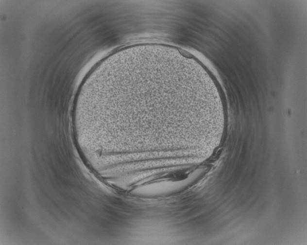 X0000067861341200605111724